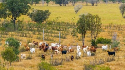 Melrose QLD