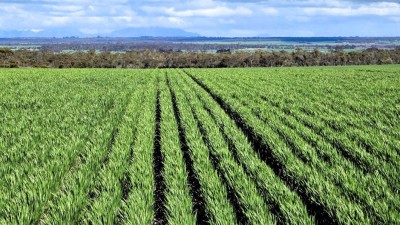 Mindarabin Heights Aggregation WA