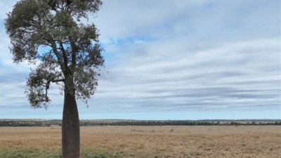 Nine Mile West QLD