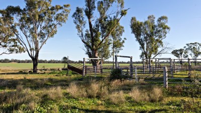 Curragada NSW