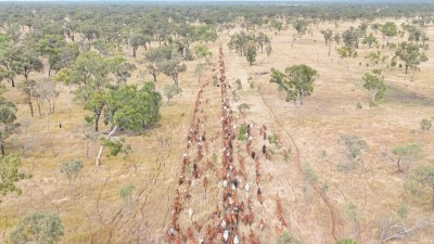 Twelve Mile Station QLD