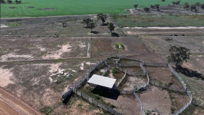 Warrawing NSW