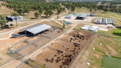 Ashvale Station QLD