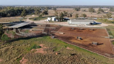 Ballaroo QLD