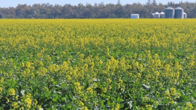 Goondiwindi Grain Hub QLD