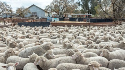 Kilnyana NSW