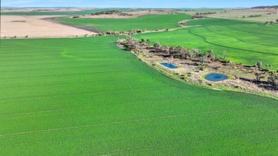 Mabel Downs NSW