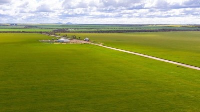 Rollond Farms WA