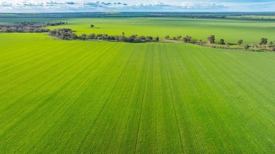 Willara Aggregation NSW