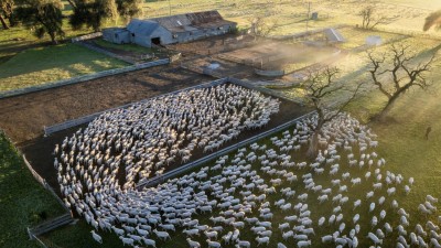 Berryjerry Station NSW