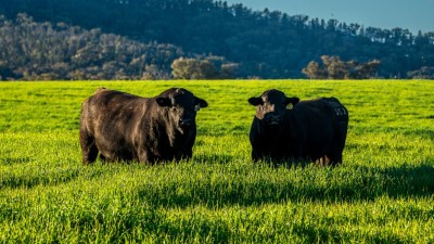 Butheroo NSW