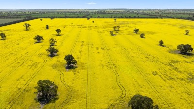 Clearview NSW