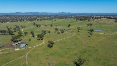 Colomendy NSW