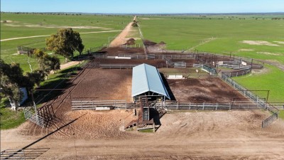 Willara Aggregation WA