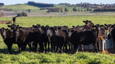 North Raeburn Aggregation NSW