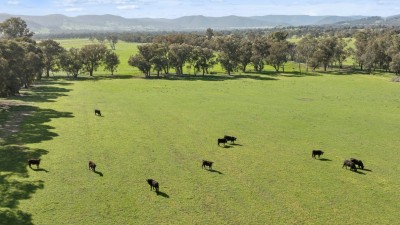 Illalangi & Exford Park VIC