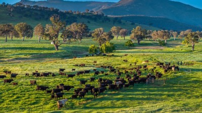 The Glen VIC