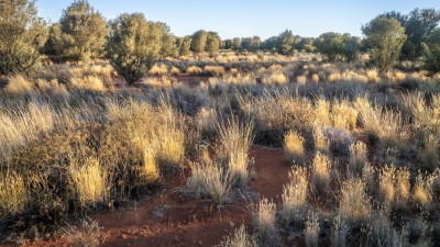 Woonoona & Tatala QLD