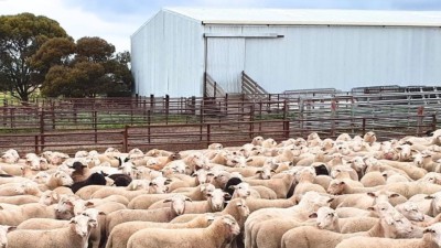 Waitavalo Farms WA