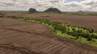 Gemini Downs Qld