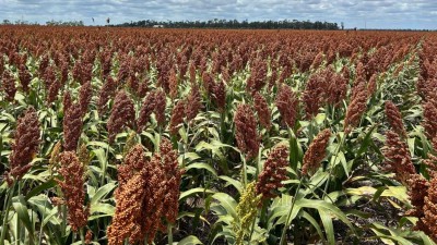 Darling Downs Portfolio Qld