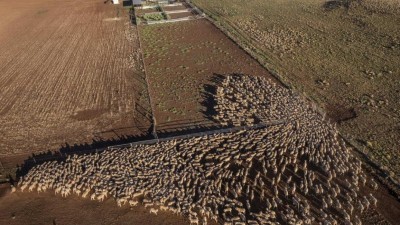 Maffra North NSW
