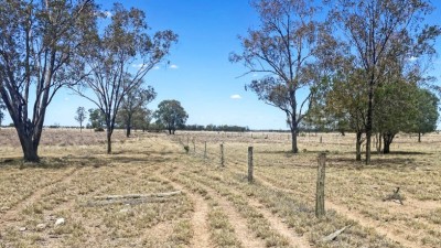 Shepparton Park Qld