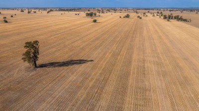 West Plains & Lenborough NSW