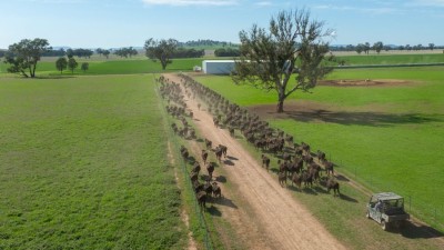 Bonnie Doon Property Aggregation NSW