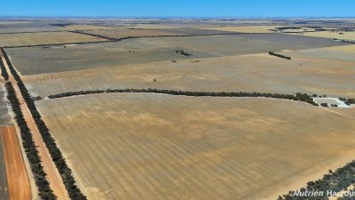 Louis Downs WA