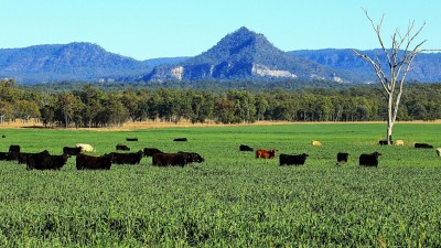 Rewan Qld