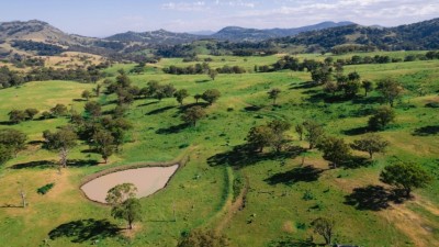 Temi NSW