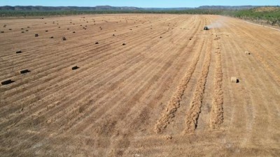 Victoria Downs NT