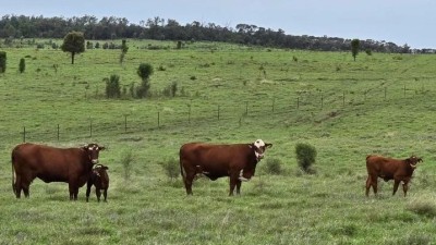 Woonoona Qld