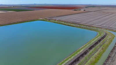 Bon Eden Aggregation Qld