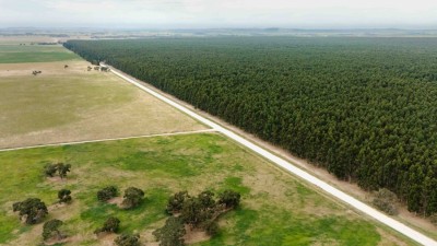 Wattle Range Portfolio SA