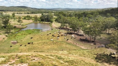 Boomer Station Qld
