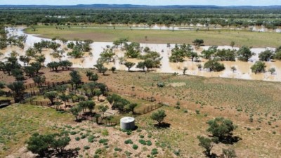 Evengy Qld