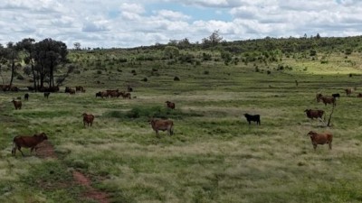Glenalba Qld