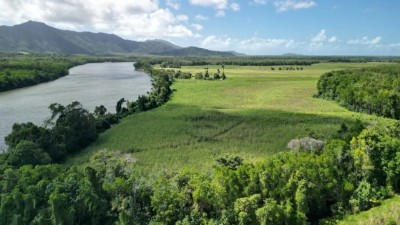 Lower Daintree Aggregation Qld