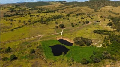 Terry Lea Qld