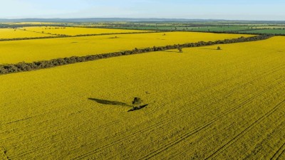 Waddikee Aggregation, WA
