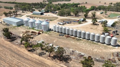 Wallace Aggregation Vic