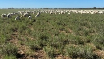 Warrambah Qld