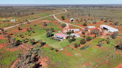 Belvedere NSW