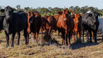 Burradoo Qld