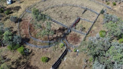 Ella Vale Station Qld
