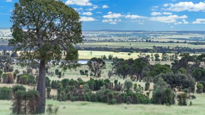 Kooringa Downs Qld