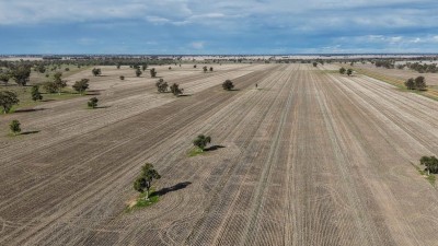 Merrigal NSW