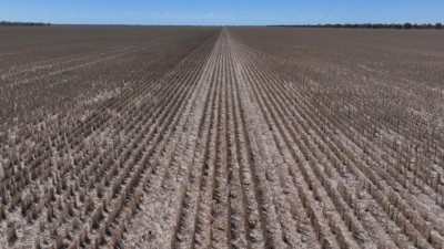 Warrindilla NSW